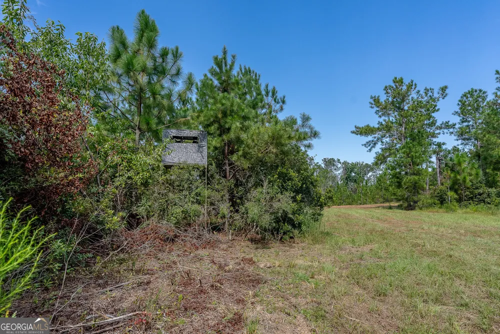 TRACT 2 Rhonda Coleman RD Hazlehurst, GA 31539
