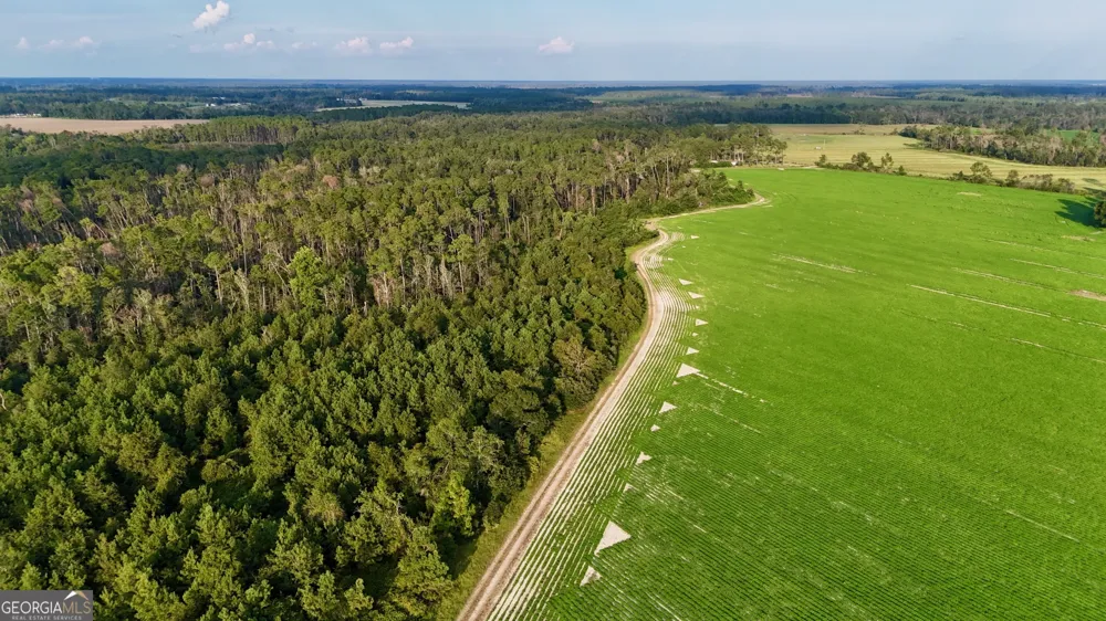 TRACT 2 Rhonda Coleman RD Hazlehurst, GA 31539