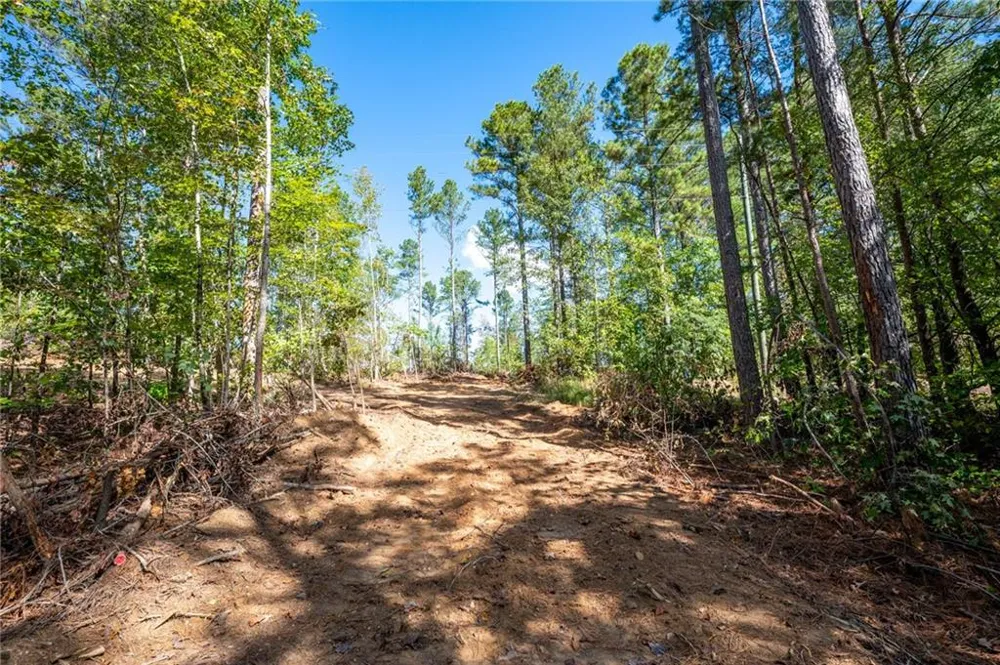 3809 HWY 140 NE Rydal, GA 30171