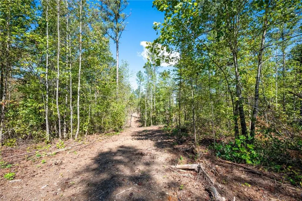 3809 HWY 140 NE Rydal, GA 30171