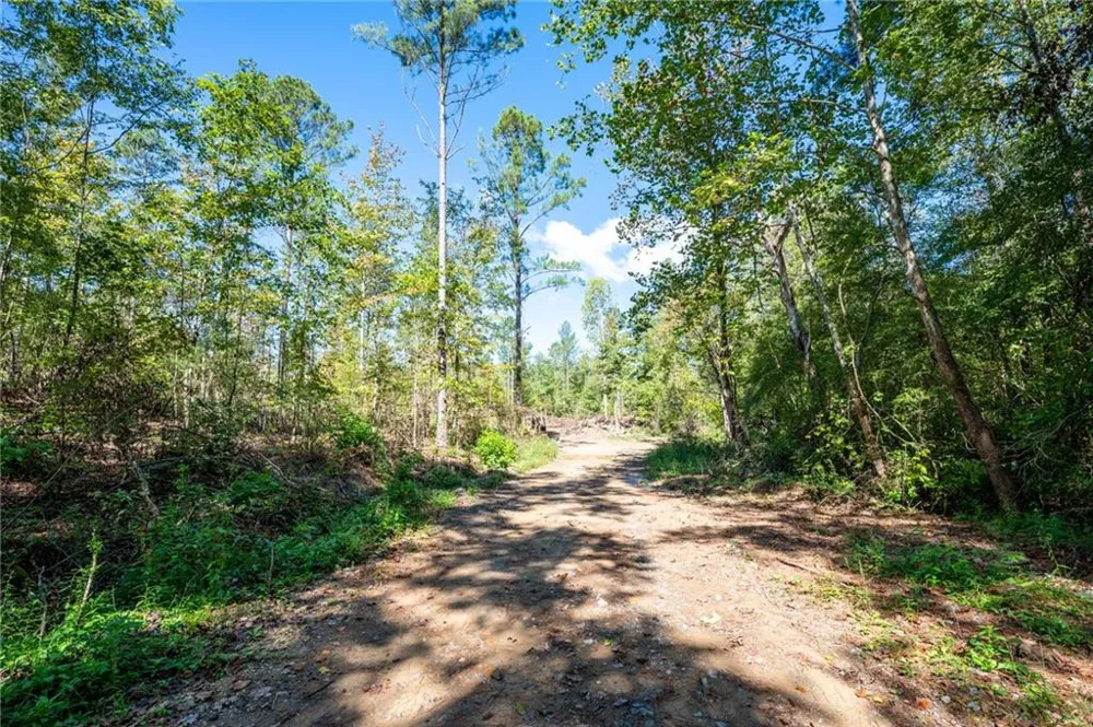 3809 HWY 140 NE Rydal, GA 30171