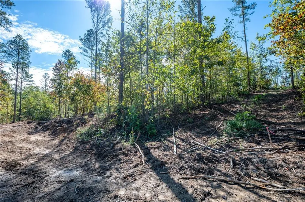 3809 HWY 140 NE Rydal, GA 30171