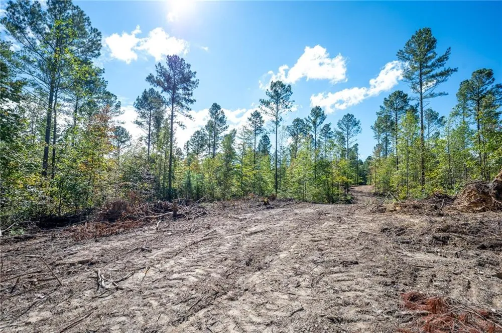 3809 HWY 140 NE Rydal, GA 30171