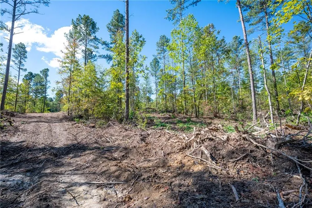 3809 HWY 140 NE Rydal, GA 30171