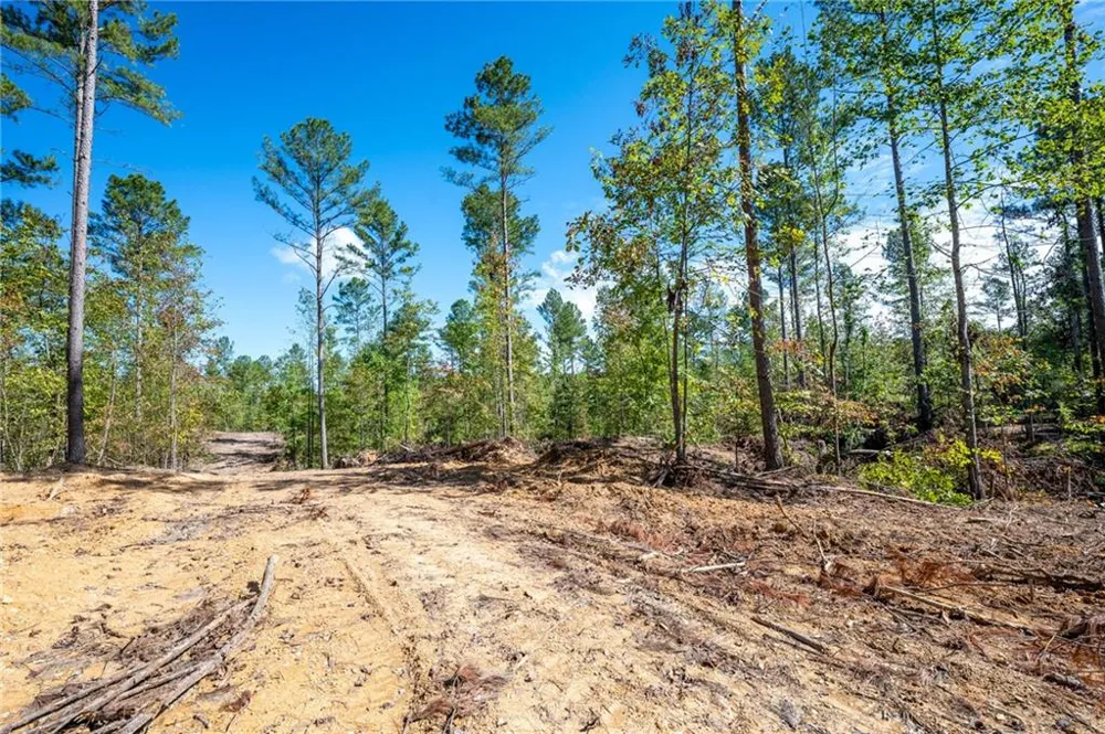 3809 HWY 140 NE Rydal, GA 30171
