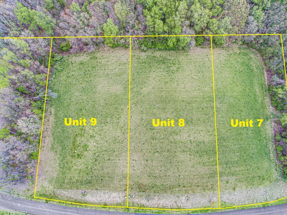4600 Nantucket Dr. #Unit 9 Summit Township, MI 49201