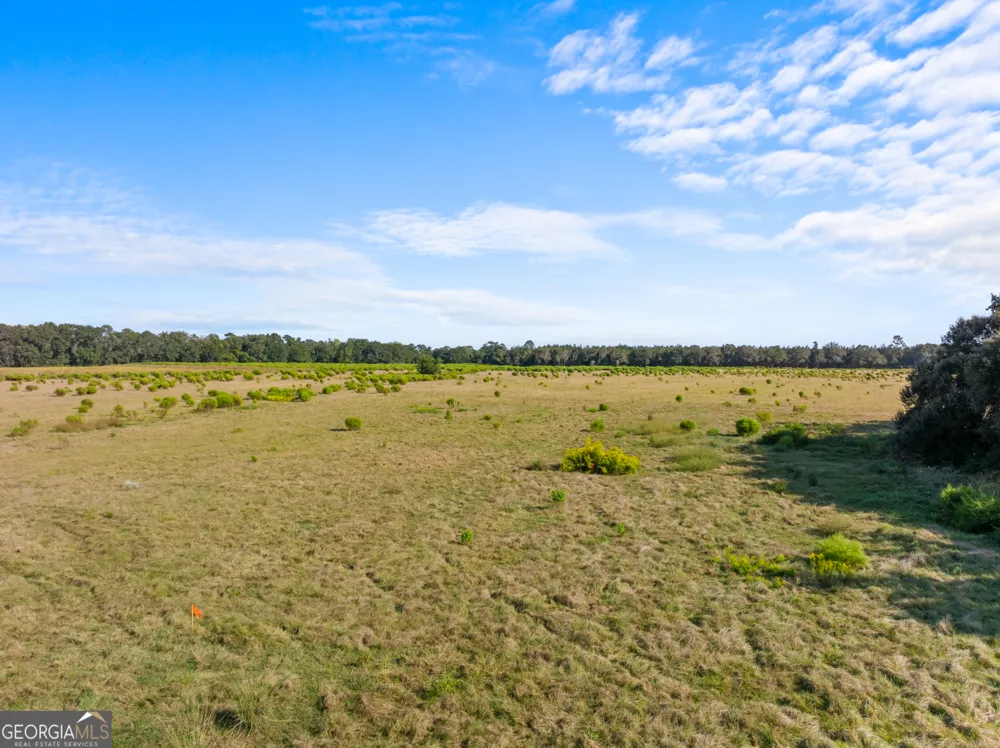 0 Shearouse Landing RD Brooklet, GA 30415
