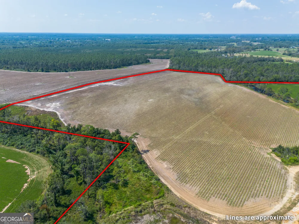 1671 Warren Carter RD Douglas, GA 31533