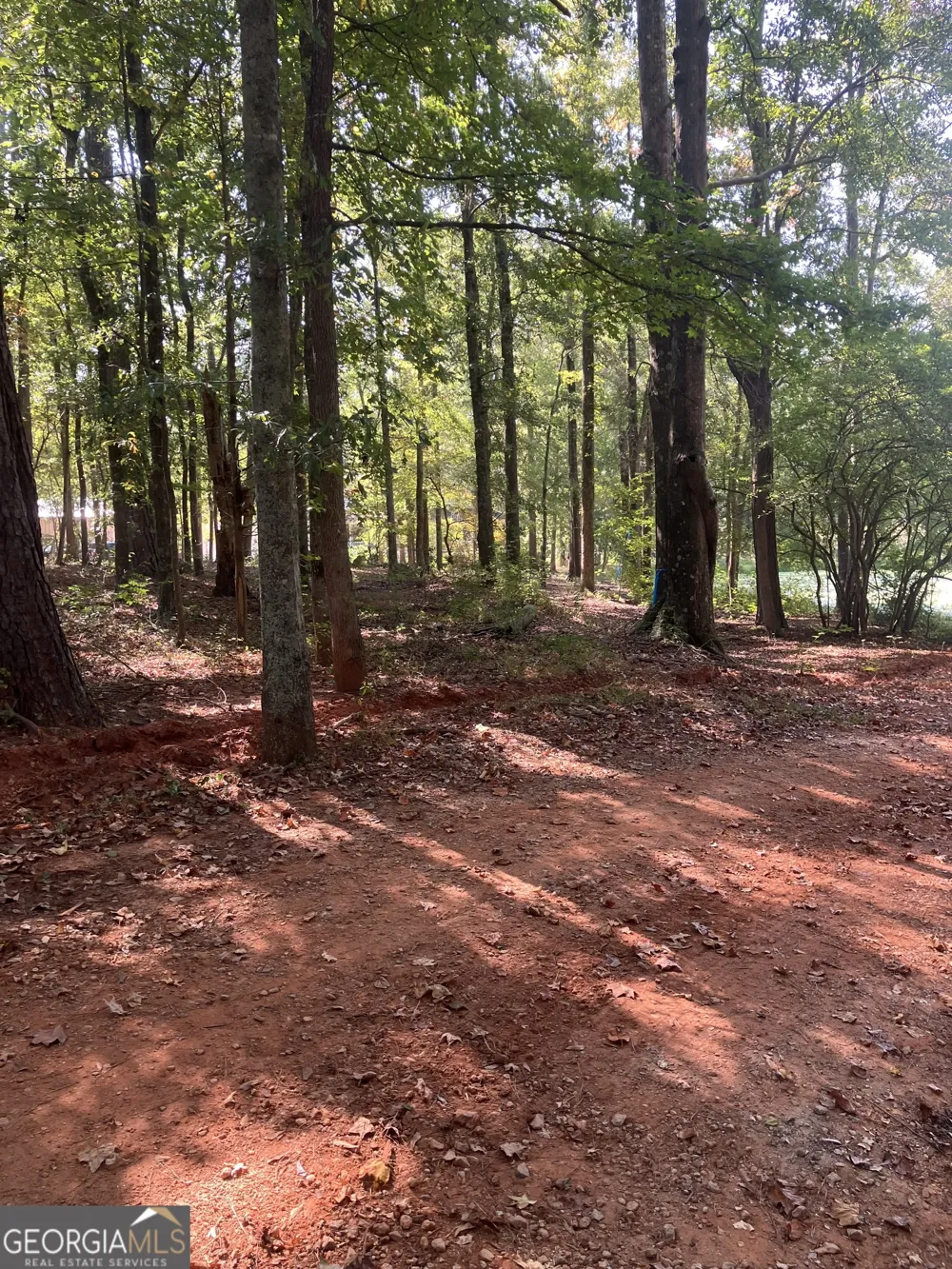 0 Teasley TRL Moreland, GA 30259