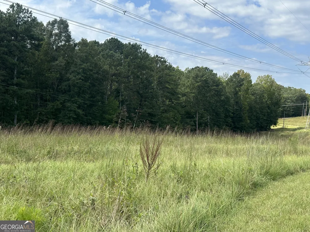 0 Teasley TRL Moreland, GA 30259