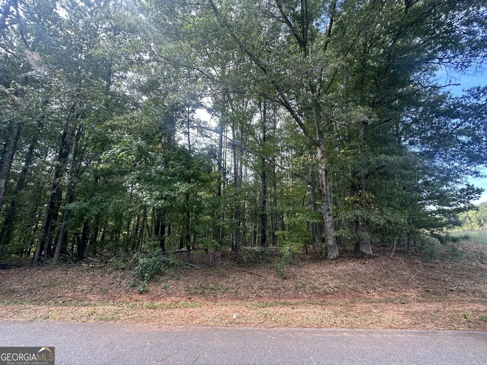 0 Teasley TRL Moreland, GA 30259