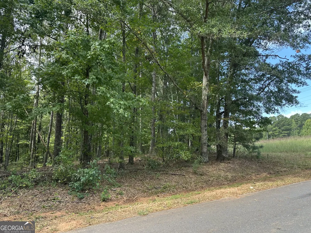 0 Teasley TRL Moreland, GA 30259