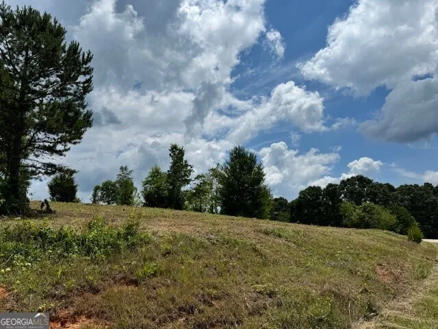 0 Log Cabin LN Lakemont, GA 30552