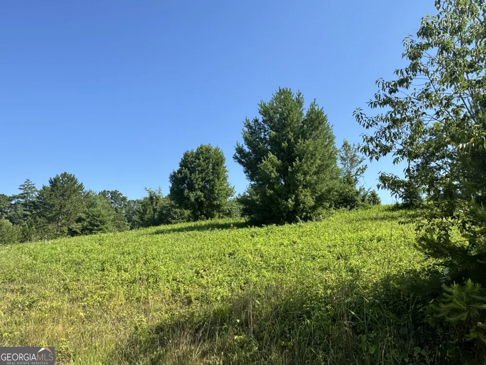 0 Log Cabin LN Lakemont, GA 30552
