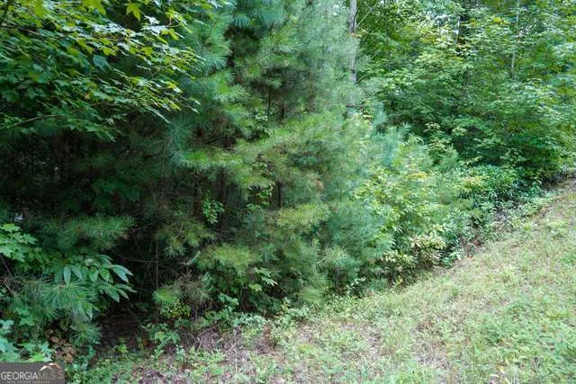 0 Heavenly CIR Clayton, GA 30525