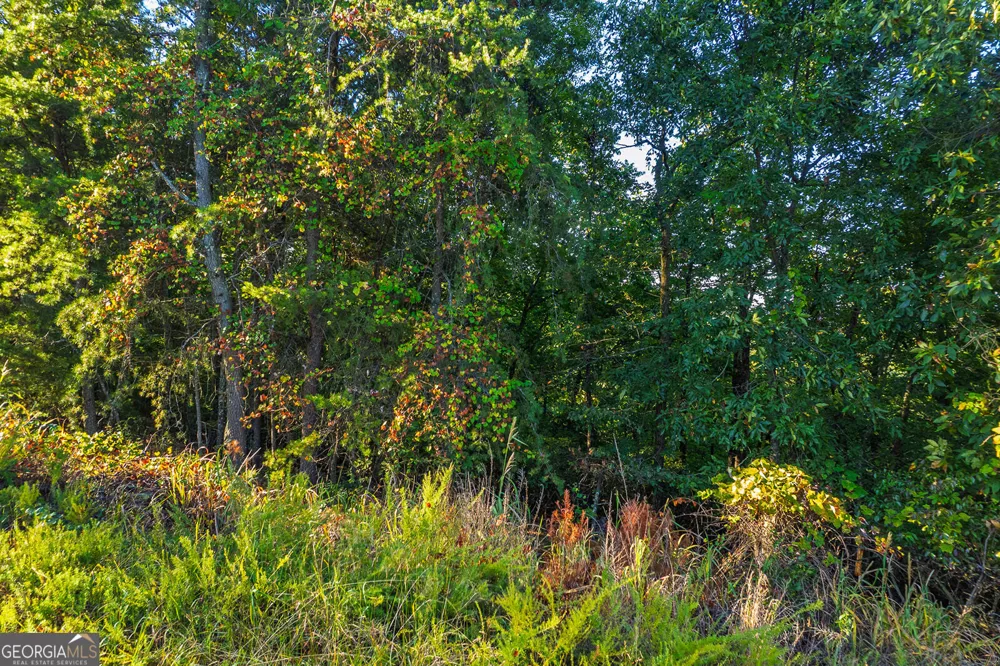 248 Stirratt RD Ranger, GA 30734