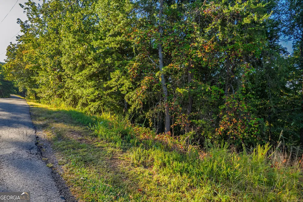 248 Stirratt RD Ranger, GA 30734