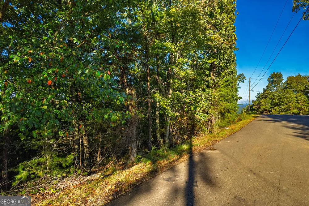 248 Stirratt RD Ranger, GA 30734
