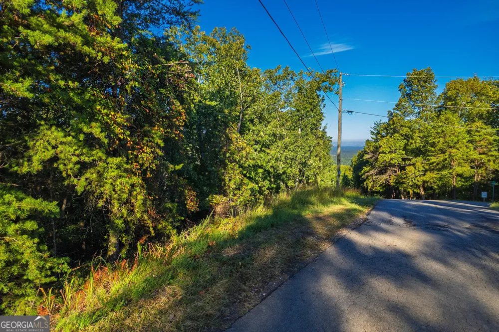 248 Stirratt RD Ranger, GA 30734