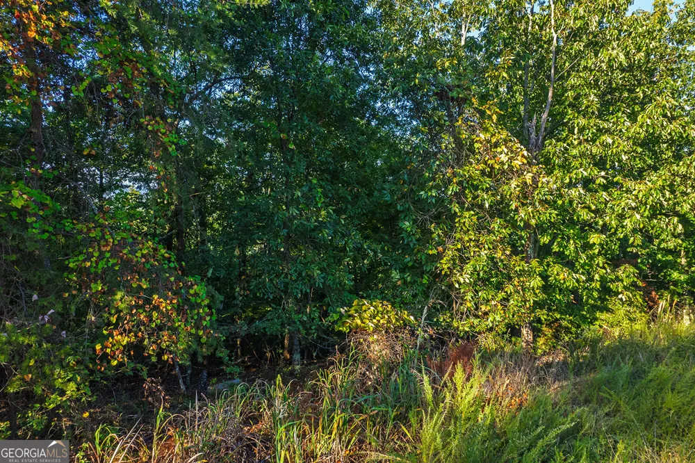 248 Stirratt RD Ranger, GA 30734