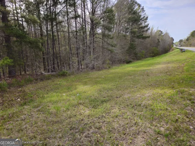 TRACT 2 Us Highway 341 N Musella, GA 31066