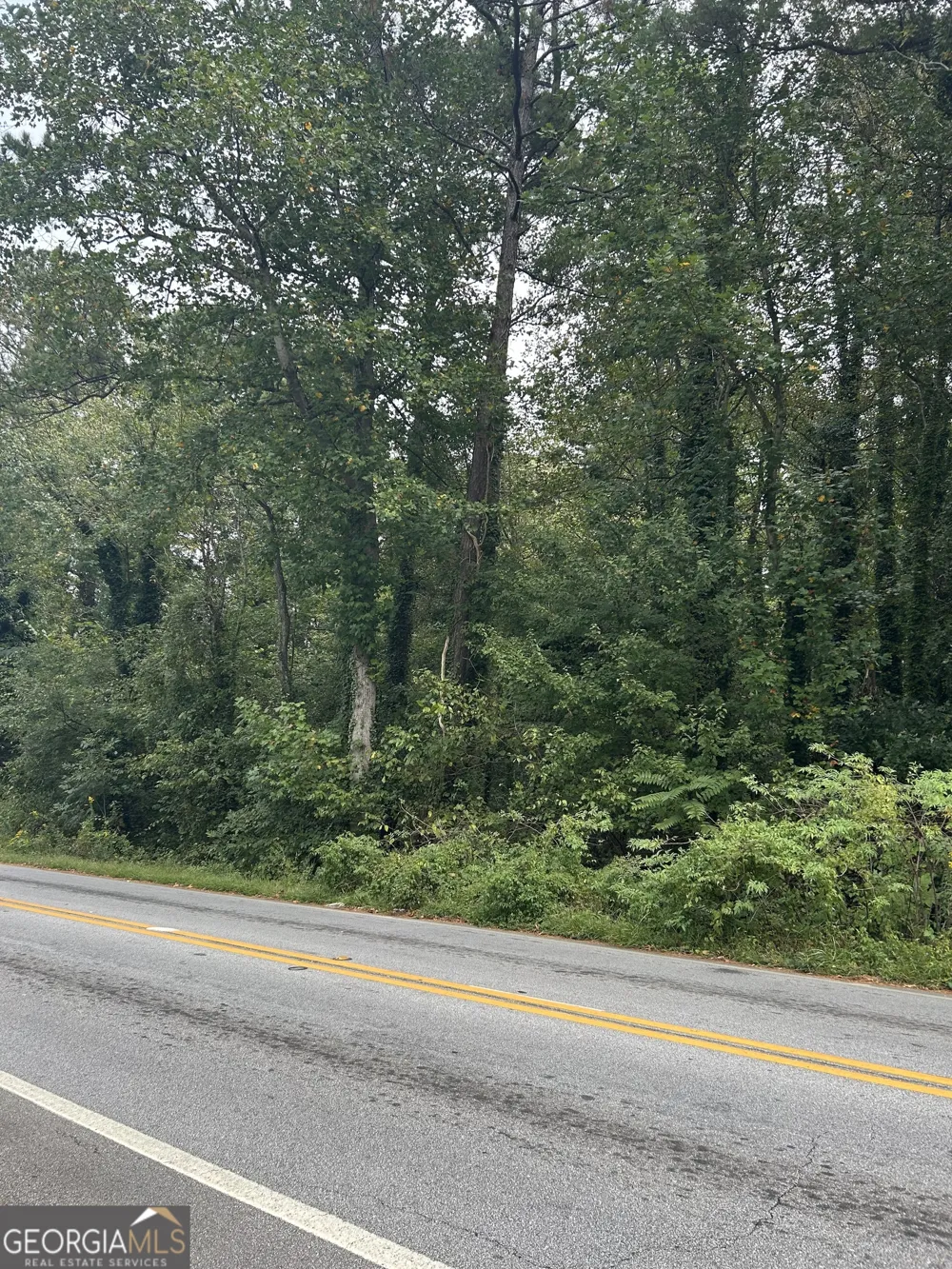 0 Anderson TER Snellville, GA 30039