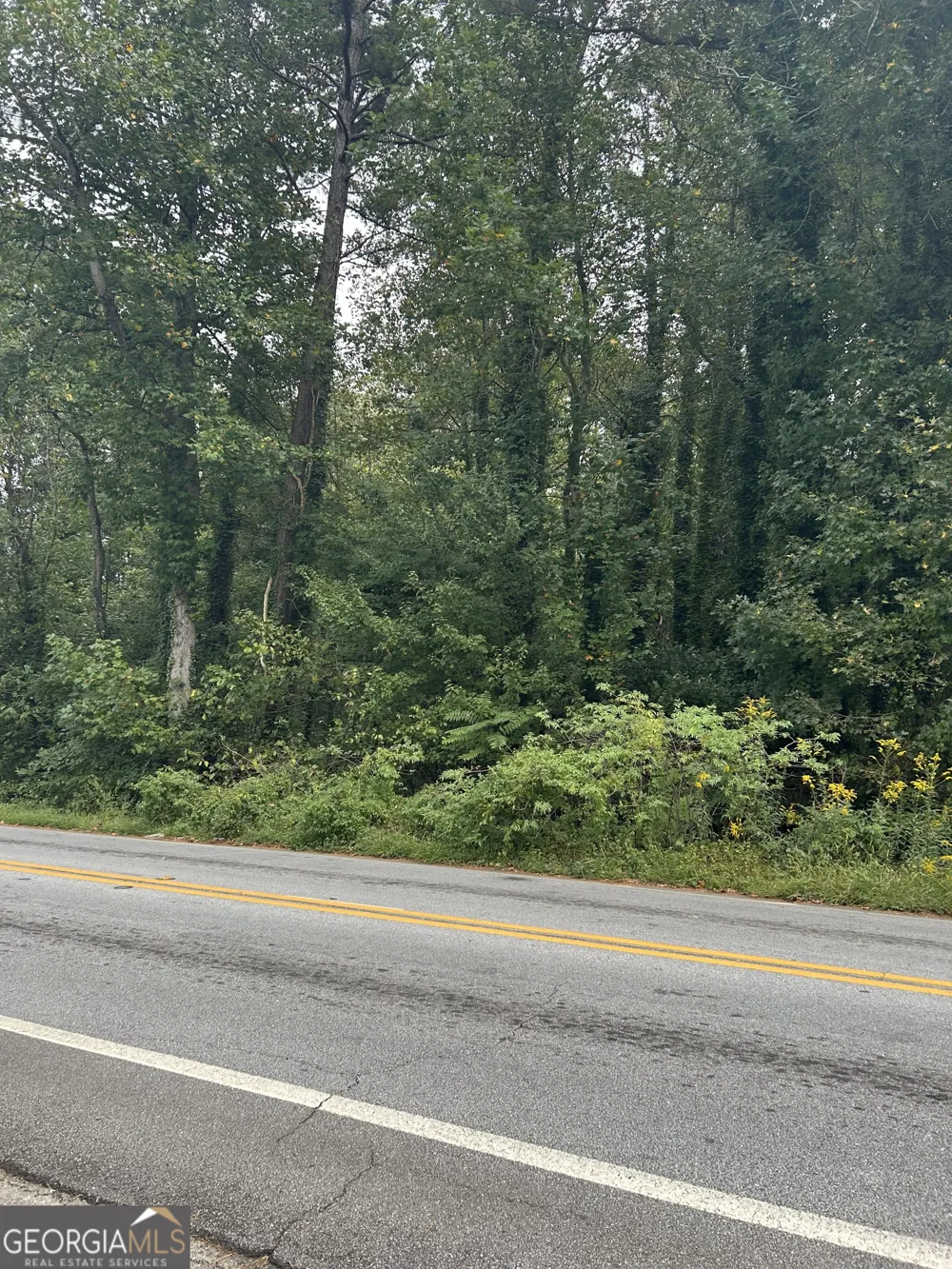 0 Anderson TER Snellville, GA 30039