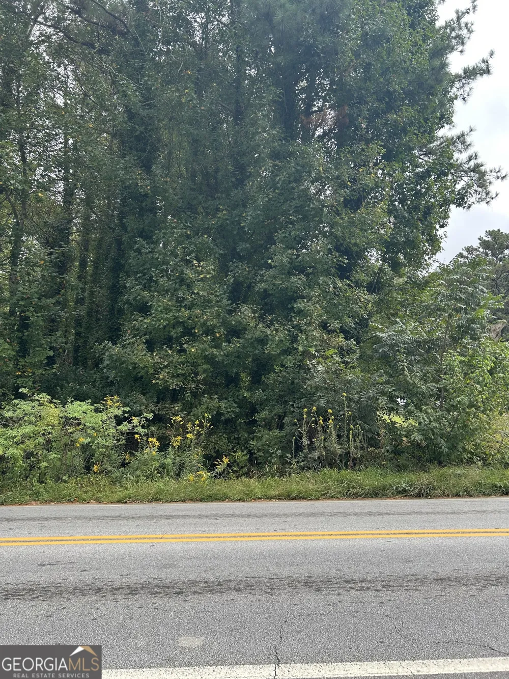 0 Anderson TER Snellville, GA 30039