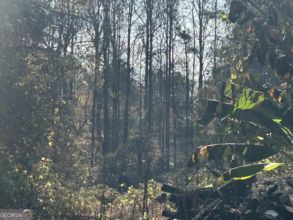 0 Anderson TER Snellville, GA 30039