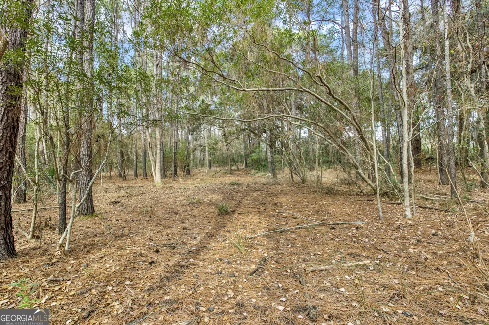 193 Burton RD Savannah, GA 31405
