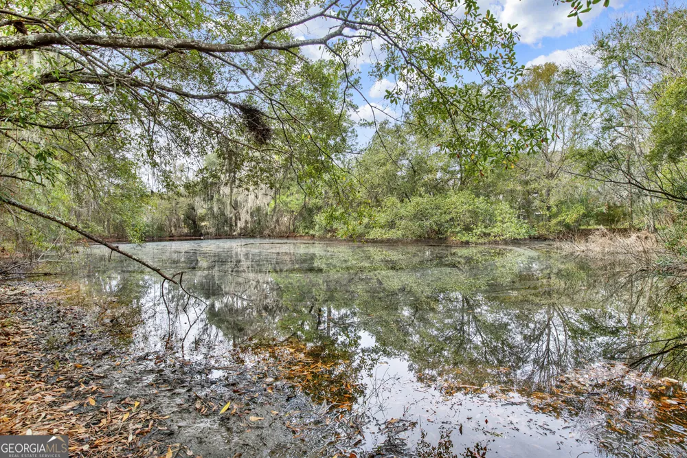 181 Burton RD Savannah, GA 31405