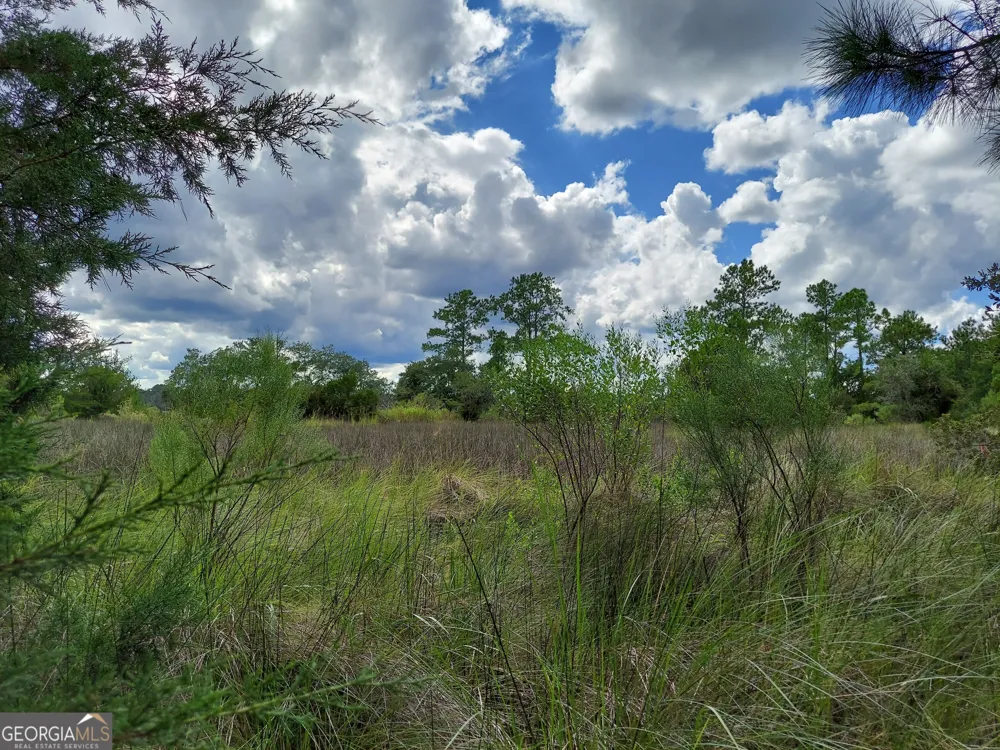 187 Burton RD Savannah, GA 31405