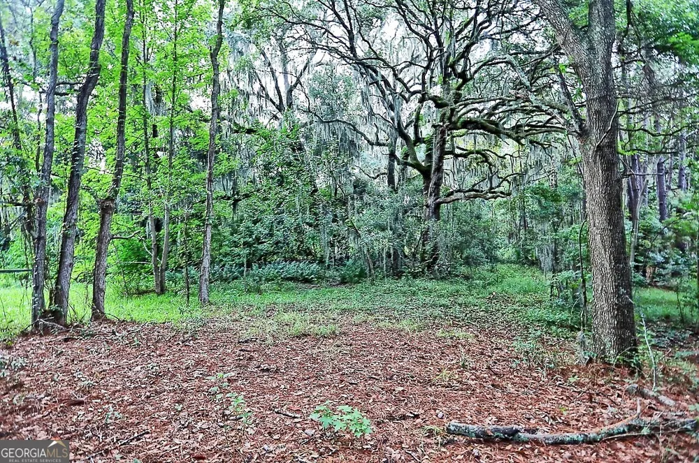 187 Burton RD Savannah, GA 31405