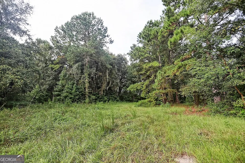 187 Burton RD Savannah, GA 31405