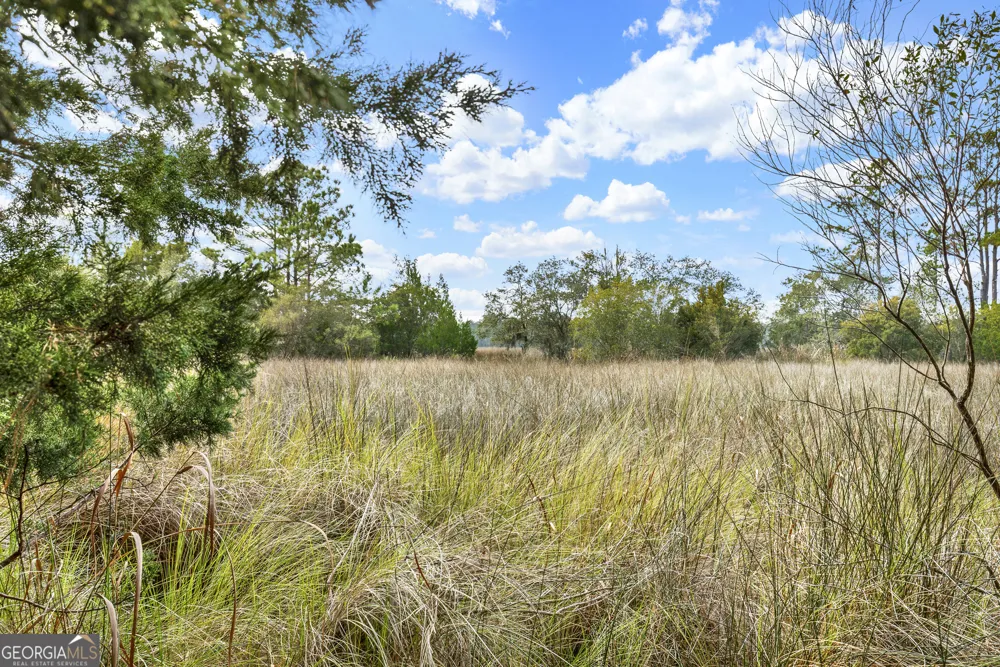 187 Burton RD Savannah, GA 31405