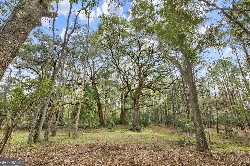 187 Burton RD Savannah, GA 31405