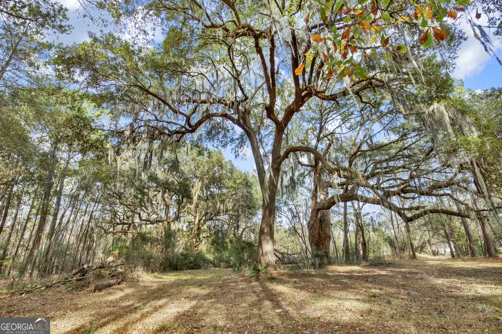 187 Burton RD Savannah, GA 31405