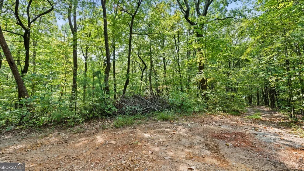 23 B Double Knob Cherry Log, GA 30522