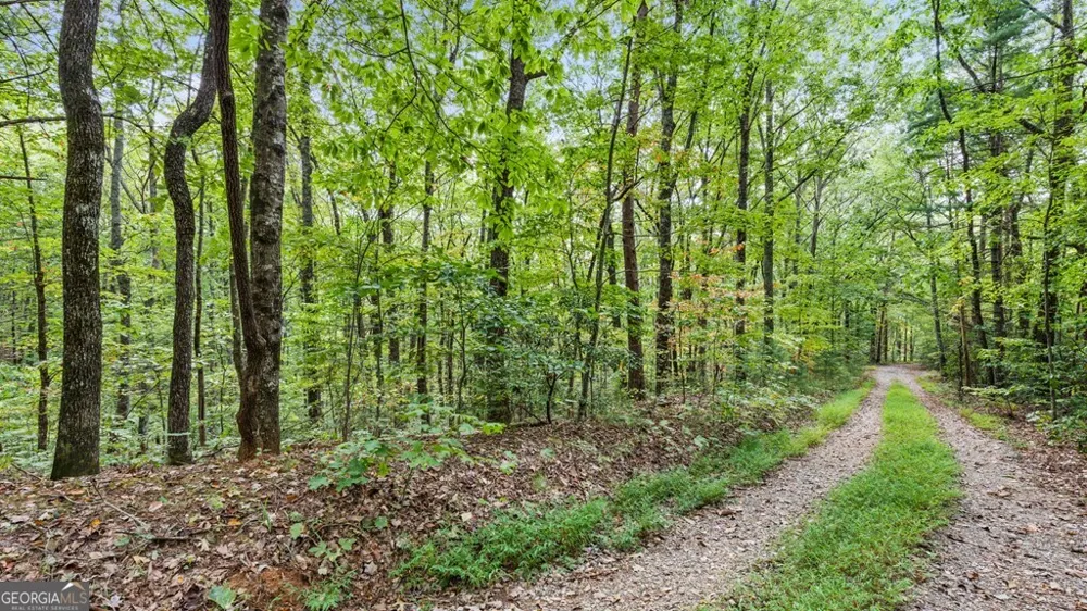 23 B Double Knob Cherry Log, GA 30522