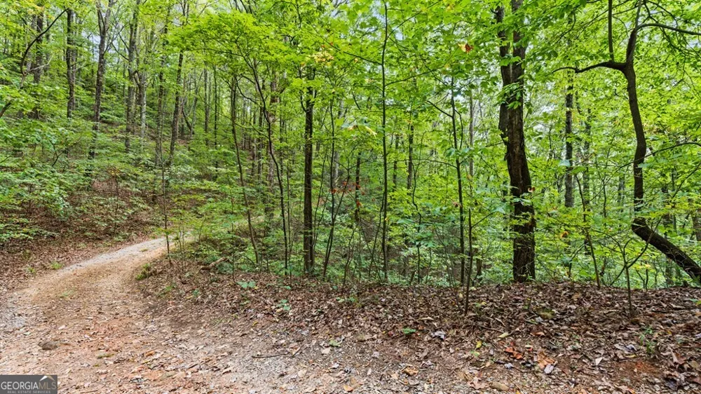 23 B Double Knob Cherry Log, GA 30522