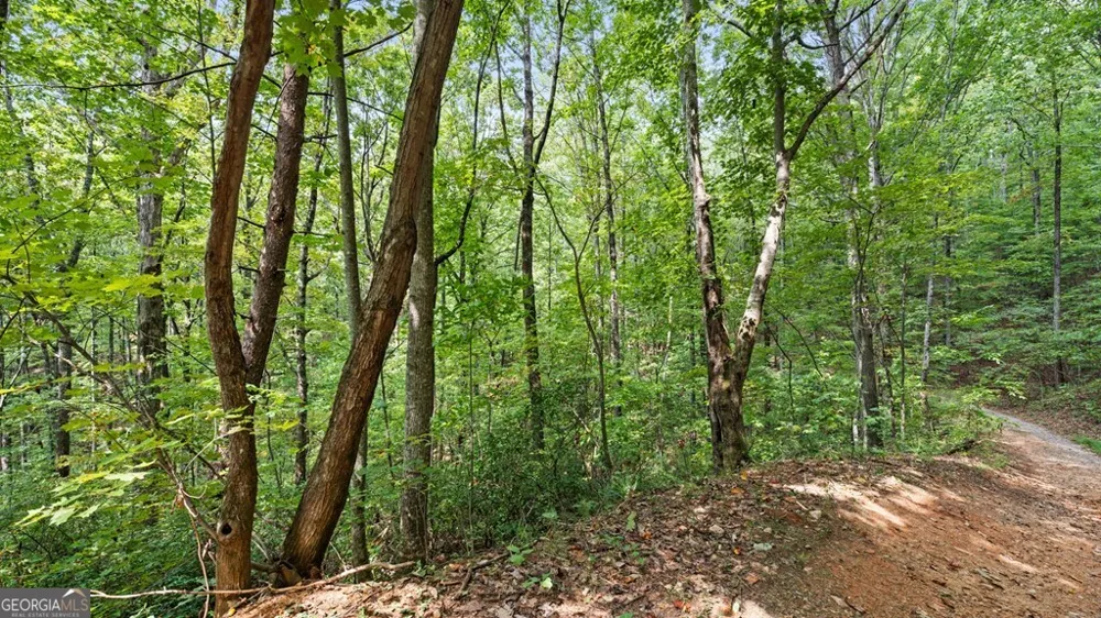 23 B Double Knob Cherry Log, GA 30522