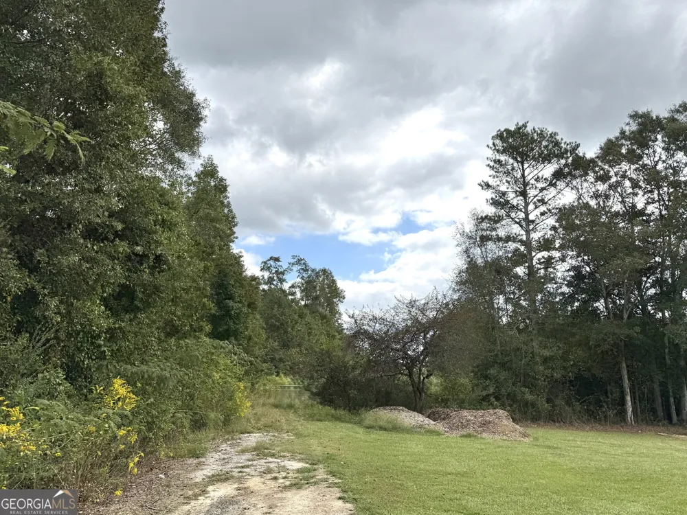 0 Magnolia AVE Bowdon, GA 30108