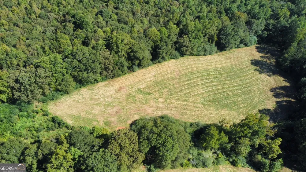 0 Anderson - Thomas RD Martin, GA 30557