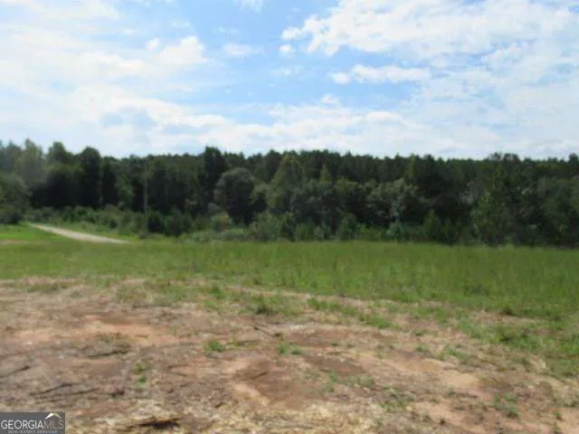 101 Winding RD Bowdon, GA 30108