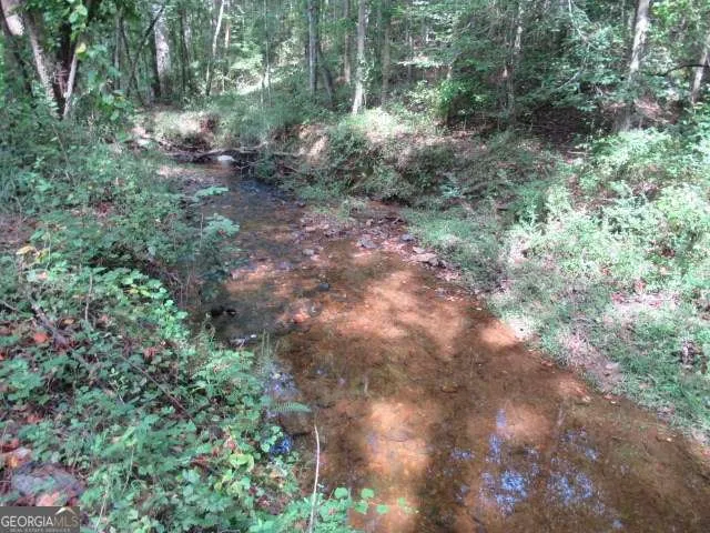 101 Winding RD Bowdon, GA 30108