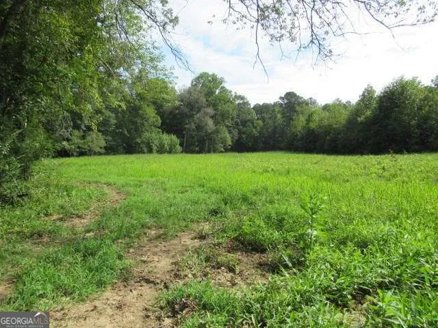 101 Winding RD Bowdon, GA 30108