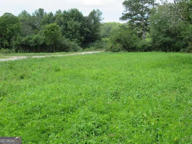 101 Winding RD Bowdon, GA 30108