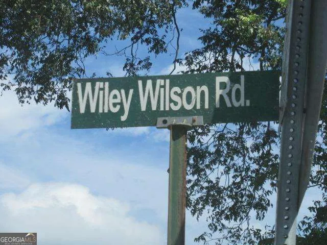 101 Winding RD Bowdon, GA 30108