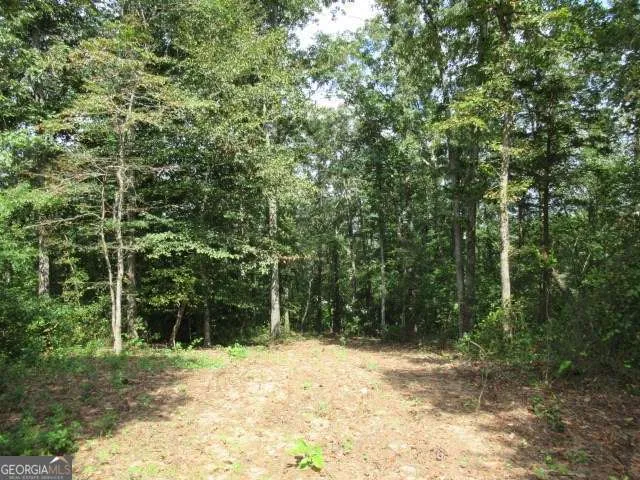 101 Winding RD Bowdon, GA 30108