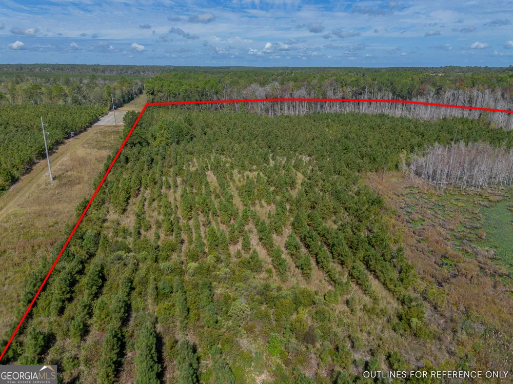 TRACT 1 Kinnett RD Jacksonville, GA 31544